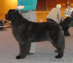 Превью фото № 87787