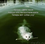 Превью фото № 88094