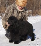 Превью фото № 88186