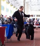 Превью фото № 88887