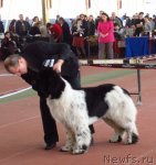 Превью фото № 88902