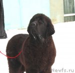 Превью фото № 89131