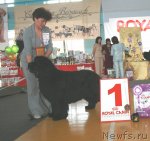 Превью фото № 89695