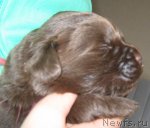 Превью фото № 89973