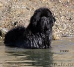 Превью фото № 90055