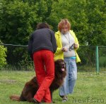 Превью фото № 90175