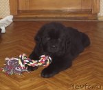 Превью фото № 90236