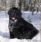 Превью фото № 90325