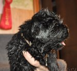 Превью фото № 90506