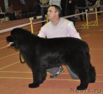 Превью фото № 90555