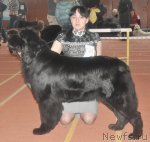 Превью фото № 90592