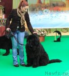 Превью фото № 90895