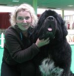 Превью фото № 90927