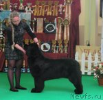 Превью фото № 90966