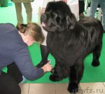 Превью фото № 90997