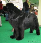 Превью фото № 91009