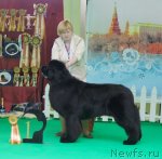 Превью фото № 91172