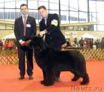 Превью фото № 9125