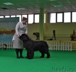 Превью фото № 91427