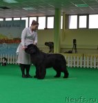 Превью фото № 91428