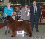 Превью фото № 91777