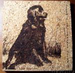 Превью фото № 9192