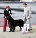 Превью фото № 91932