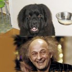 Превью фото № 92044