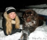 Превью фото № 92238