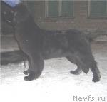 Превью фото № 9226