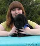 Превью фото № 92338