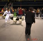 Превью фото № 92397