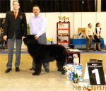 Превью фото № 92441