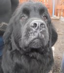 Превью фото № 92513