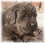 Превью фото № 927