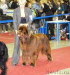 Превью фото № 92733