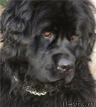 Превью фото № 92787