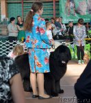 Превью фото № 93197