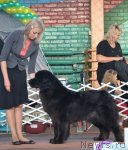 Превью фото № 93200