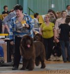 Превью фото № 93218