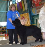 Превью фото № 93230