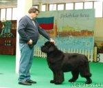 Превью фото № 93633