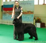 Превью фото № 93644