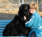 Превью фото № 93697