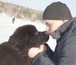 Превью фото № 93708