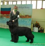 Превью фото № 93764