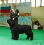 Превью фото № 93765