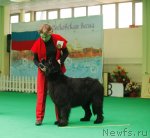 Превью фото № 93837