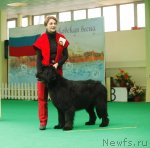 Превью фото № 93838