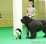 Превью фото № 93988